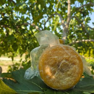 Pecorino Semi Stagionato