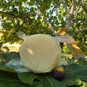 Pecorino Crotonese semplice