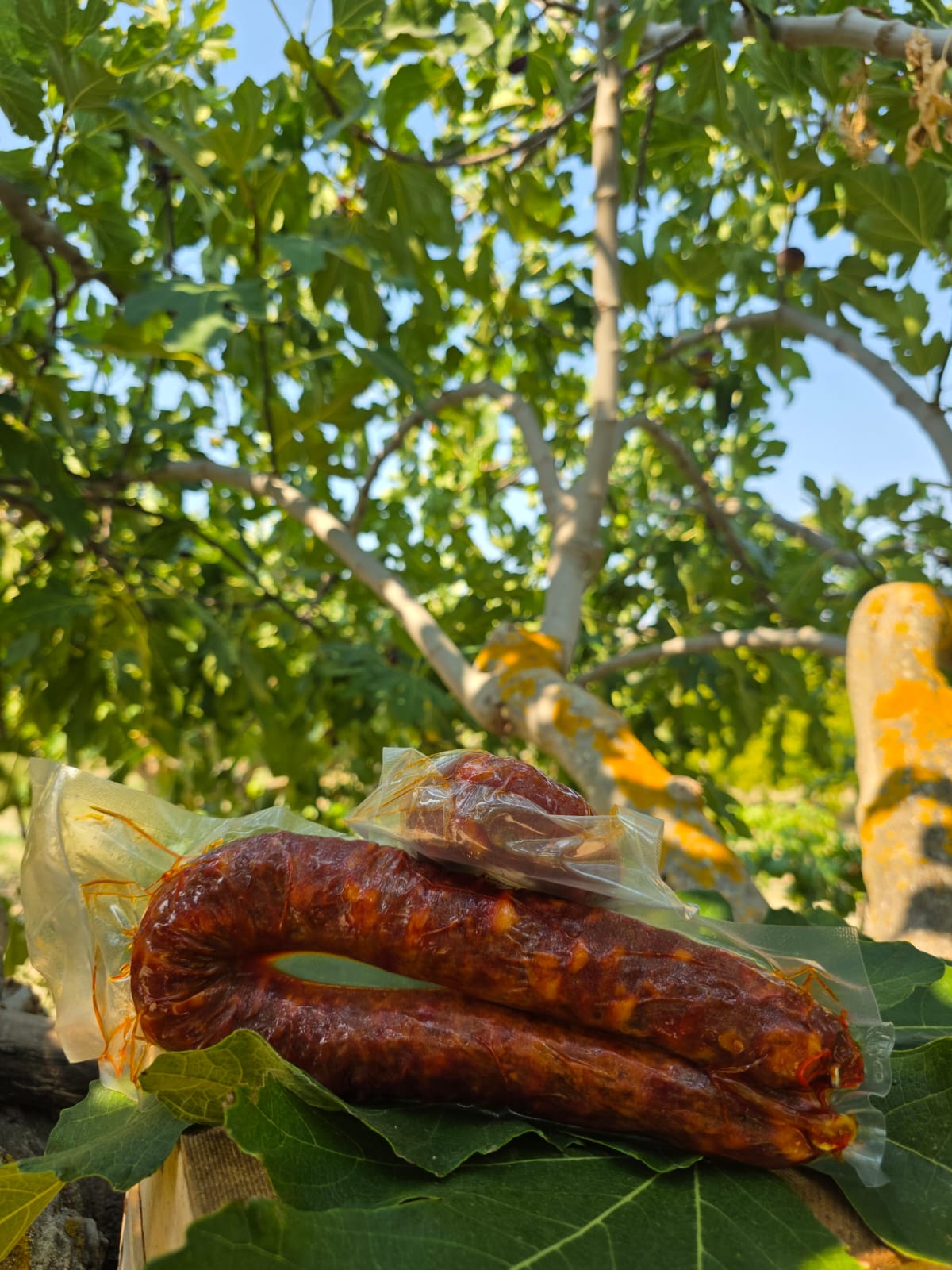 Salsiccia Crotonese - immagine 2