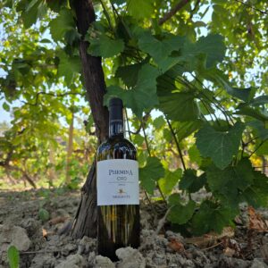 VINO BIANCO "PHEMINA"