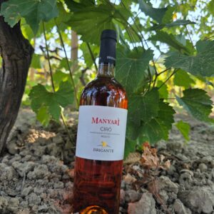 VINO ROSATO "MANYARI'"